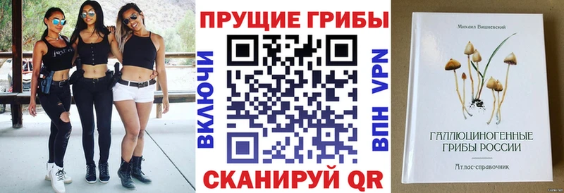 omg вход  Тавда  Галлюциногенные грибы Magic Shrooms 
