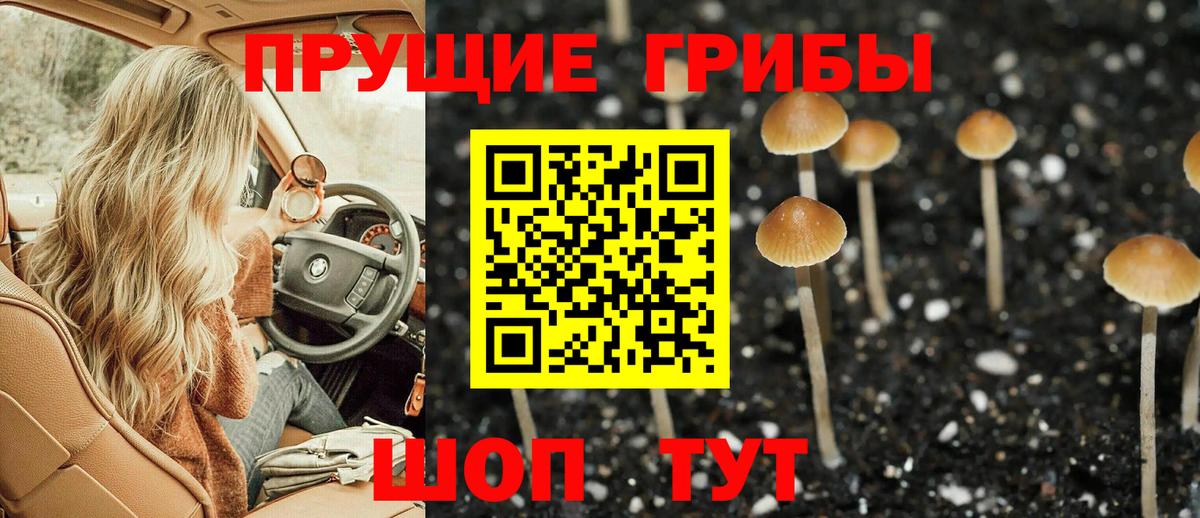 Галлюциногенные грибы ЛСД  Галлюциногенные грибы Psilocybine cubensis  Тавда  Вход с VPN 