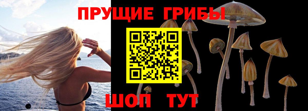 Галлюциногенные грибы прущие грибы Тавда